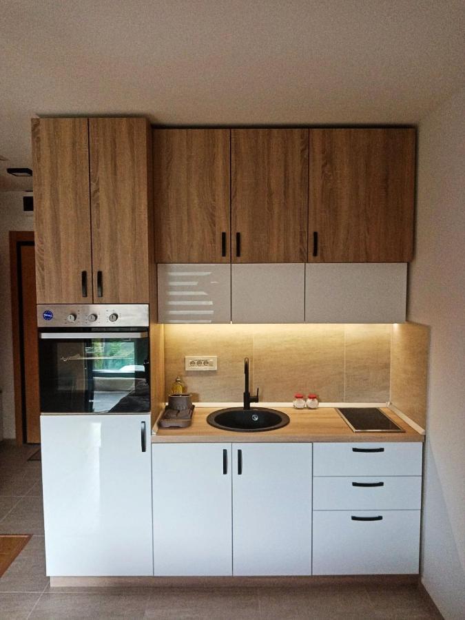 Studio Apartman Gorski Kristal ซลาตีบอร์ ภายนอก รูปภาพ